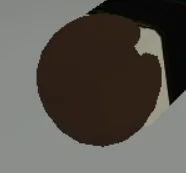 Coconut artwork